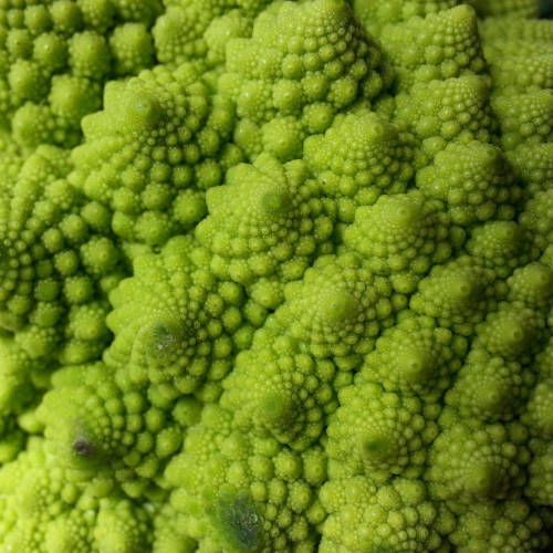 en grafisk mœbiusremsa